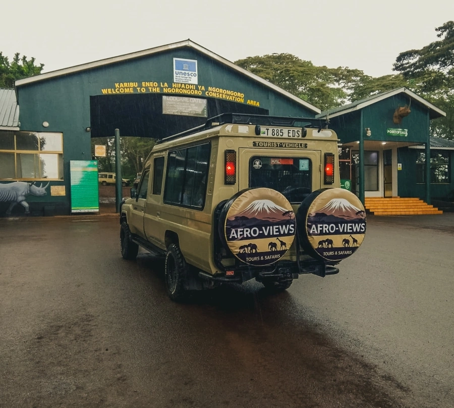 Safari guests with Afro-Views guide — Tanzania