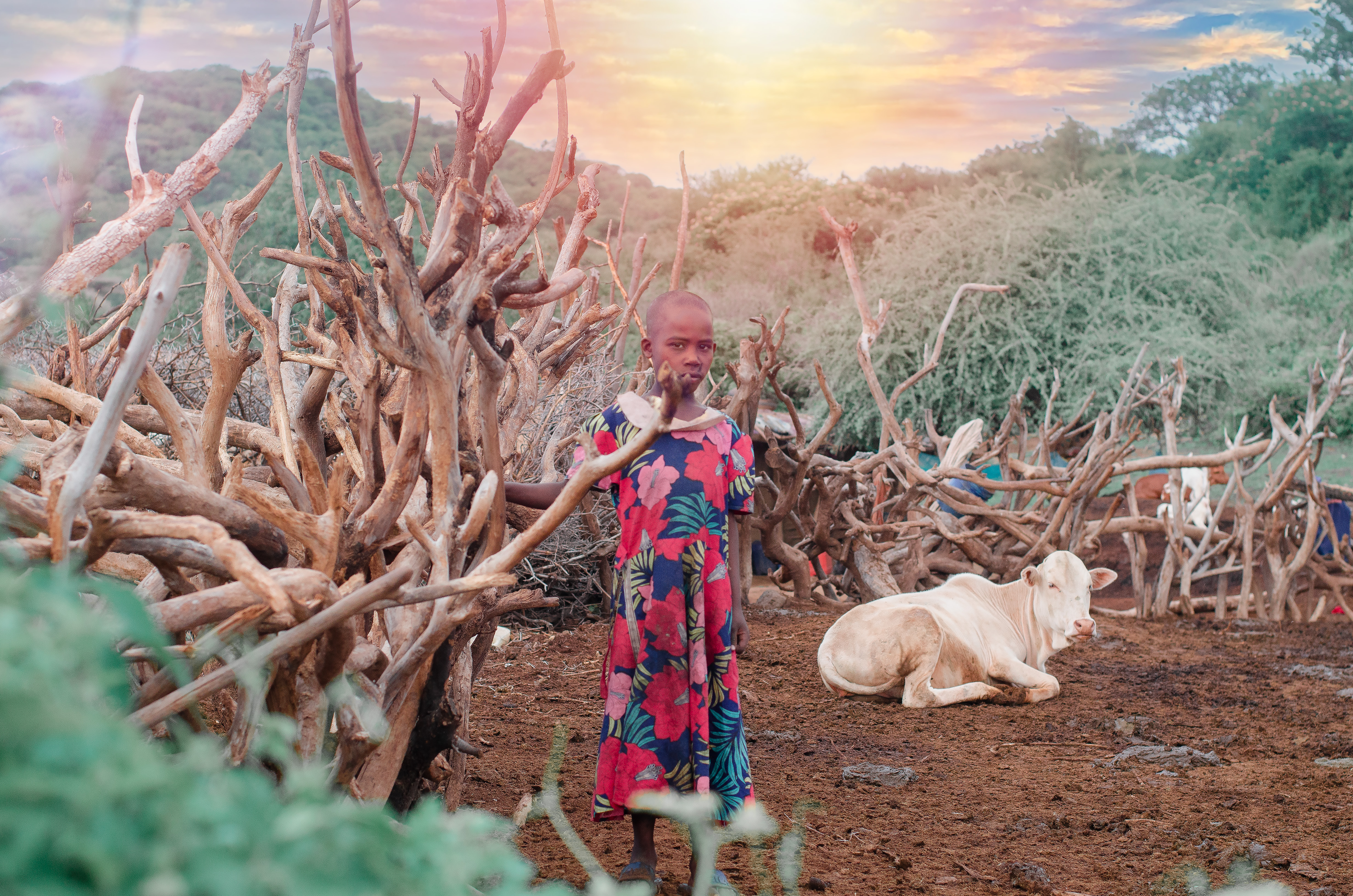 Datoga blacksmith workshop near Eyasi