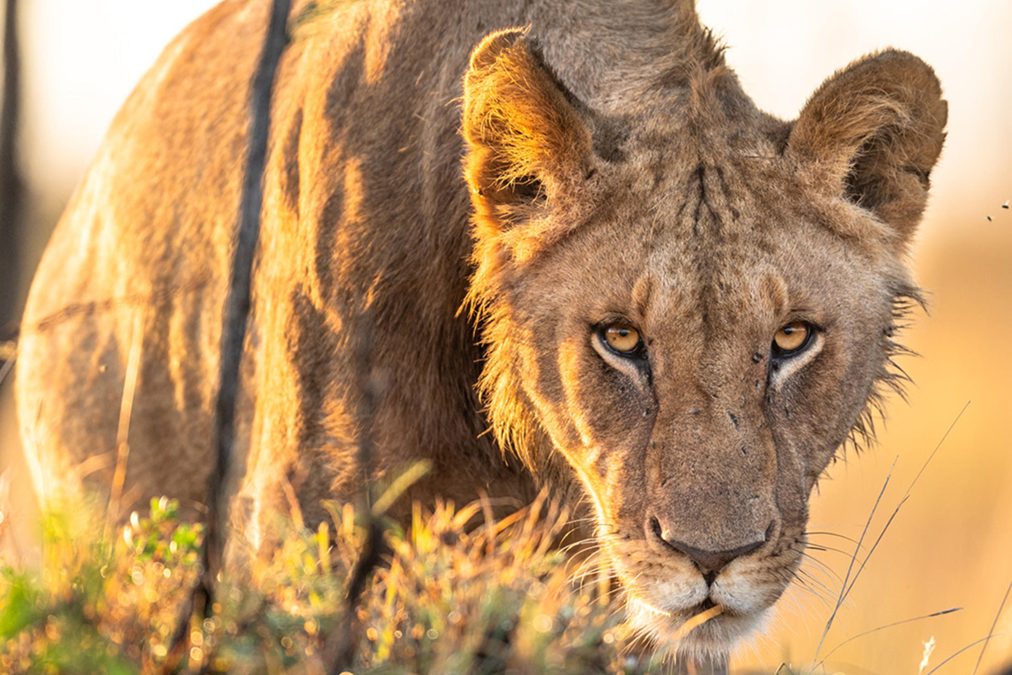 Serengeti National Park