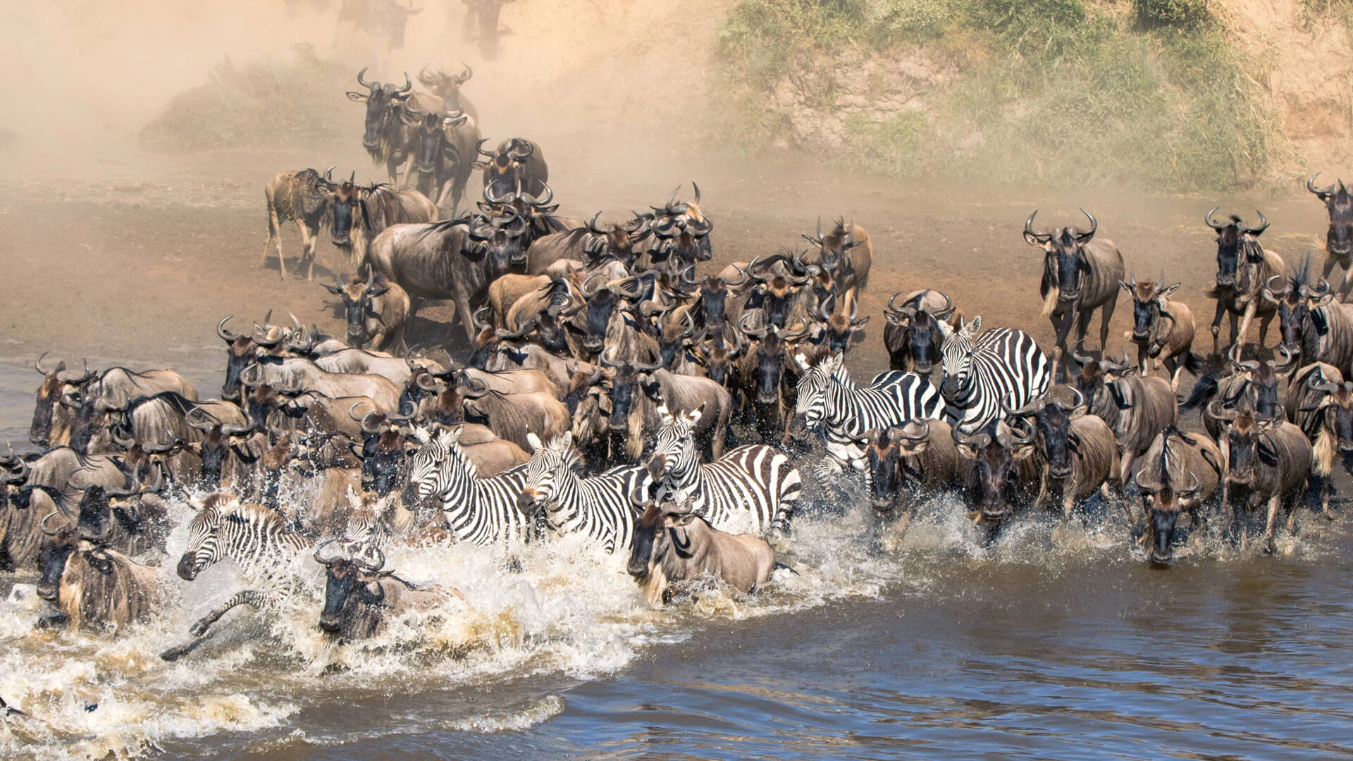 3-day Serengeti and Ngorongoro private safari with Afro-Views Tours & Safaris