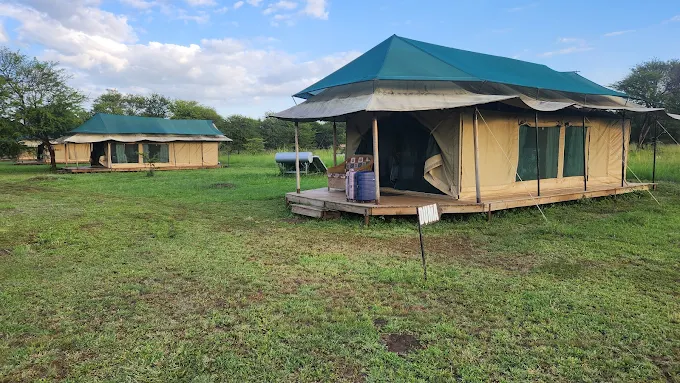 3-Day Serengeti & Ngorongoro Group