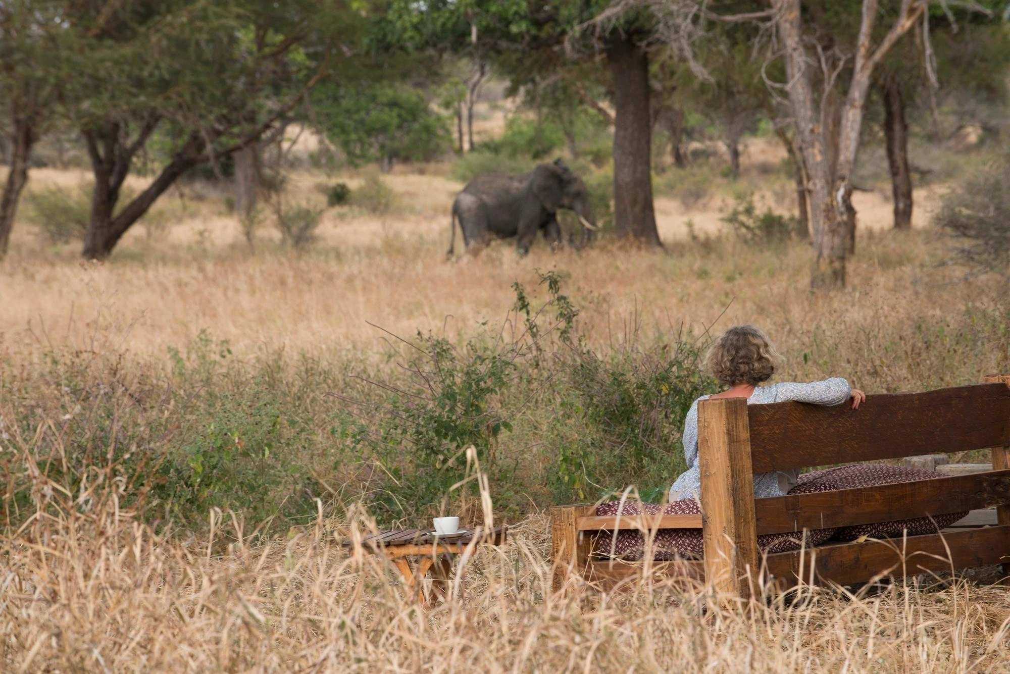 7-Day Tanzania group safari and Zanzibar beach extension